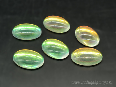 00000141169_001
