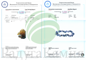 Экспертное заключение