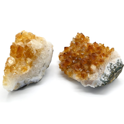 00000251295_001