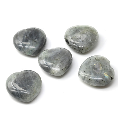 00000220893_001