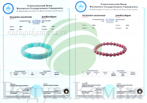 Экспертное заключение