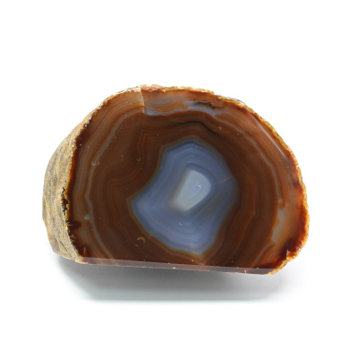 00000264602_001