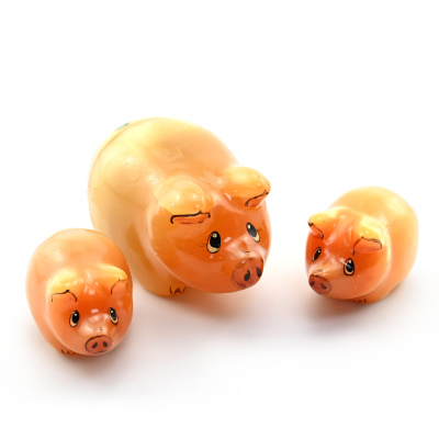 00000013425_001