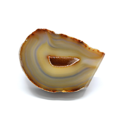 00000264611_001