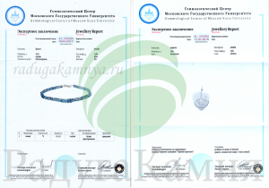 Экспертное заключение