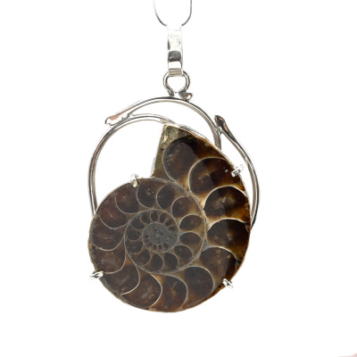 156-459013 (2)