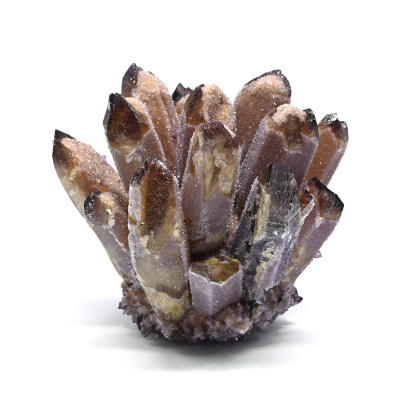 00000263779_001