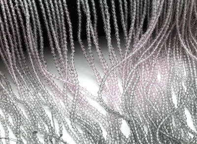 00000233573_001