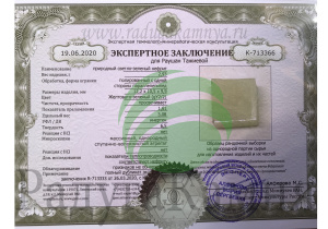 Экспертное заключение