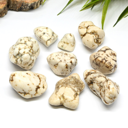 2020207 (2)