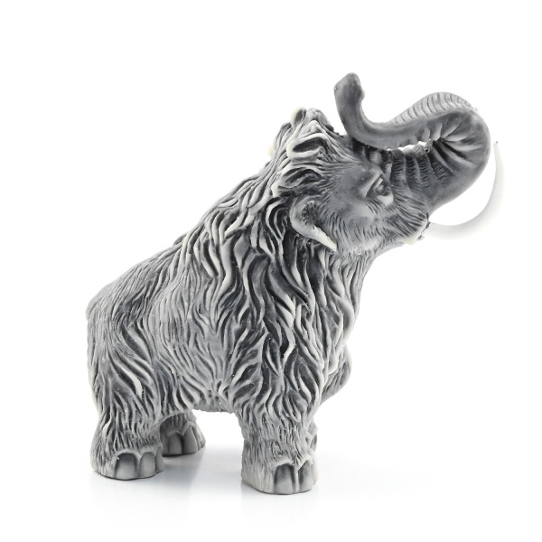 00000245148_002