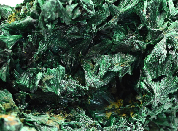 00000226315_004
