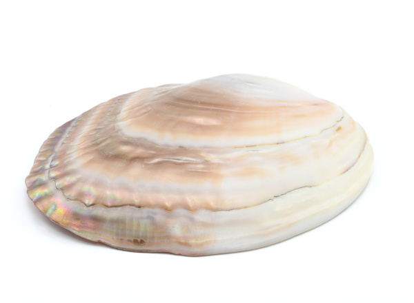 00000245980_005