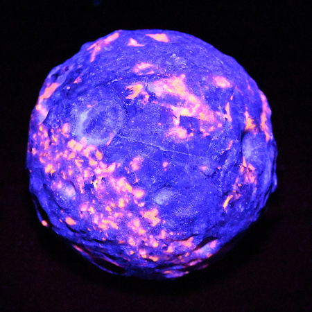 00000281083_001